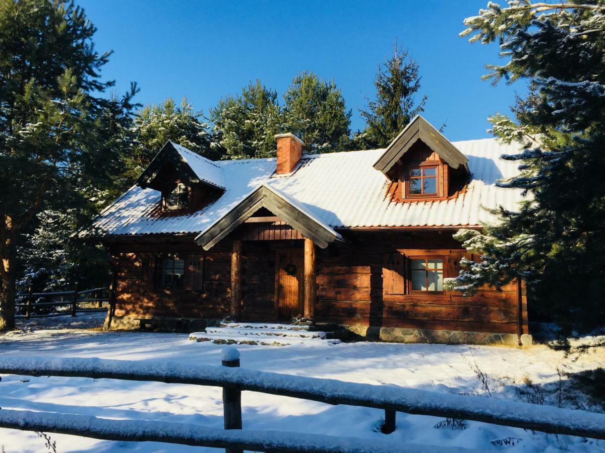 Sosnowy Zakatek Villa Zyzdrojowy Piecek Exterior photo