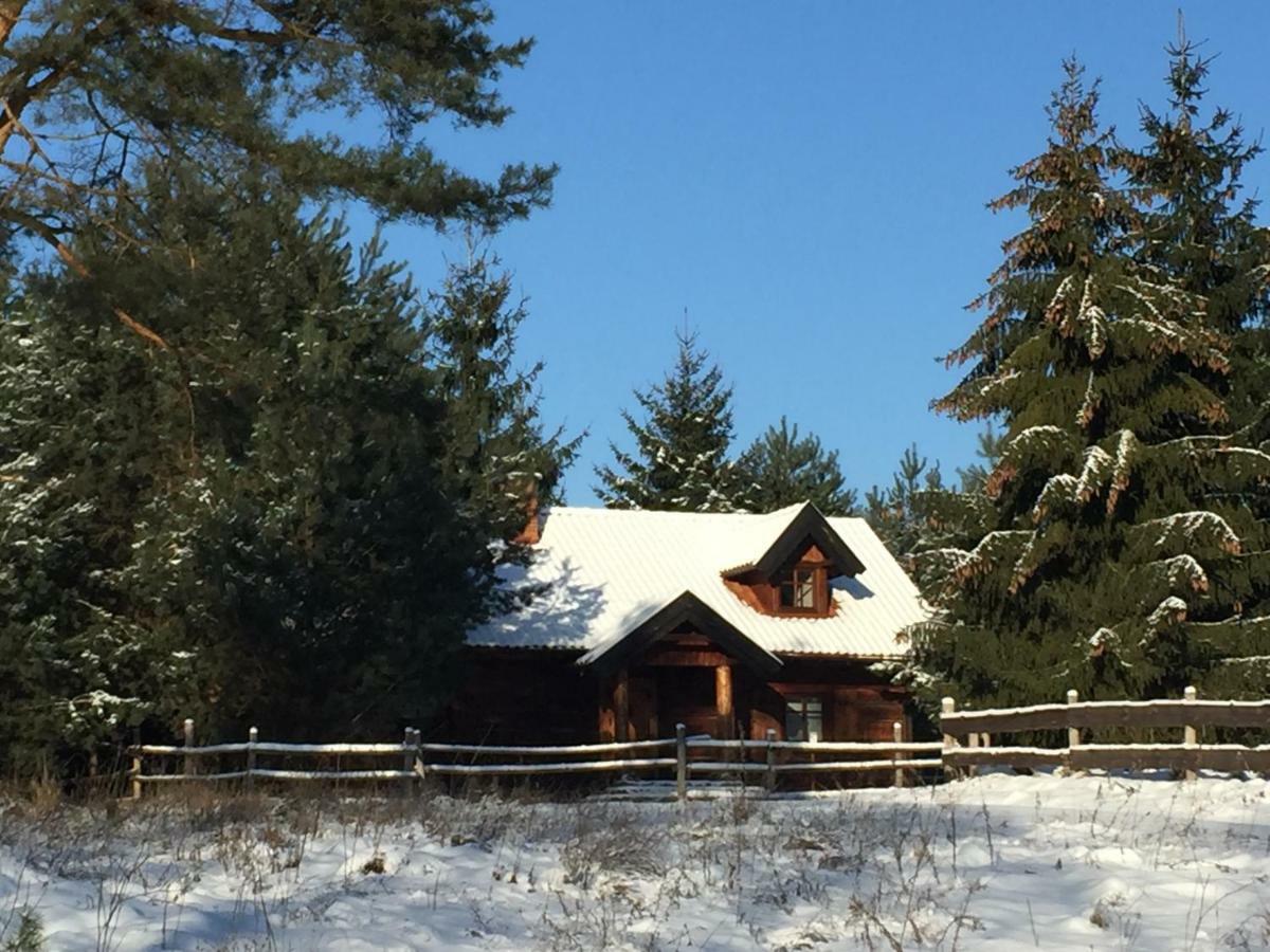 Sosnowy Zakatek Villa Zyzdrojowy Piecek Exterior photo