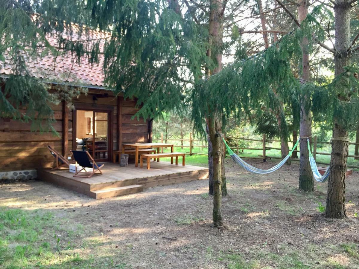 Sosnowy Zakatek Villa Zyzdrojowy Piecek Exterior photo